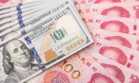 四通股份：2024年前三季度亏损814