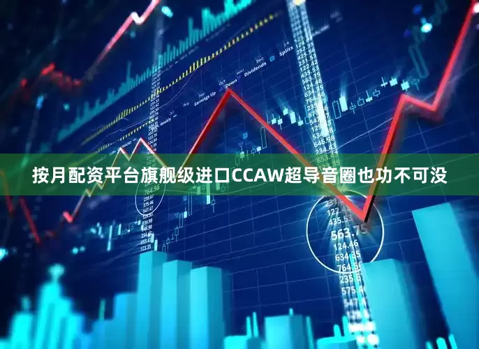 按月配资平台旗舰级进口CCAW超导音圈也功不可没