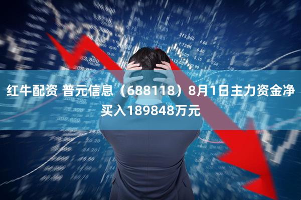 红牛配资 普元信息（688118）8月1日主力资金净买入189848万元