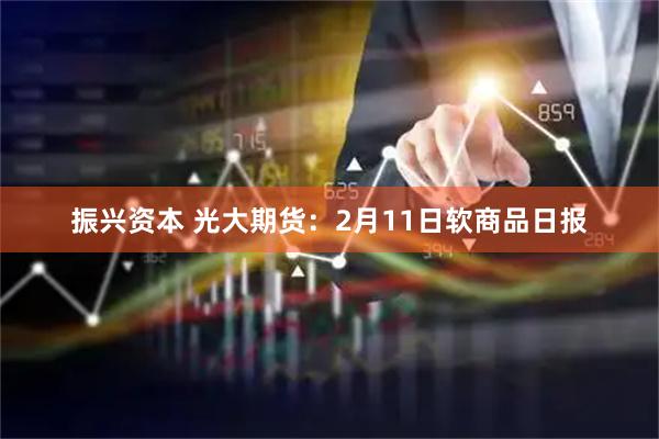 振兴资本 光大期货：2月11日软商品日报
